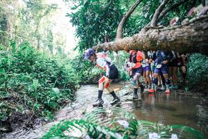 BIB: 
                            <button type="button" onclick="openModal(25466674)" class="btn btn-primary btn-sm float-right btn-popup" data-toggle="modal" data-target=".modal-high-quality">
                        <i class="fas fa-shopping-cart"></i> Add to Cart
                    </button>
                                            <button type="button" onclick="isThisMe(25466674, true)" class="btn btn-success btn-sm float-right btn-popup btn-isme hidden" data-toggle="tooltip" data-placement="bottom" title="นี่คือรูปของคุณใช่ไหม คลิกที่นี่เพื่อเอาเข้าอัลบั้ม">
                        <i class="fas fa-plus"></i> Add to album
                    </button>
                    <button type="button" onclick="isThisMe(25466674, false)" class="btn btn-warning btn-sm float-right btn-popup btn-isnotme hidden">
                        <i class="fas fa-ban"></i> Remove from album
                    </button>